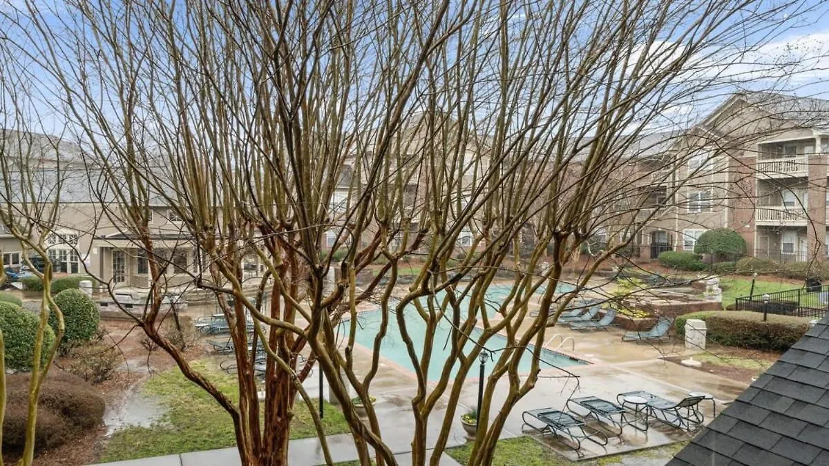 Cozy 1-Br Apartment With A Seasonal Pool Charlotte 0*,  United States